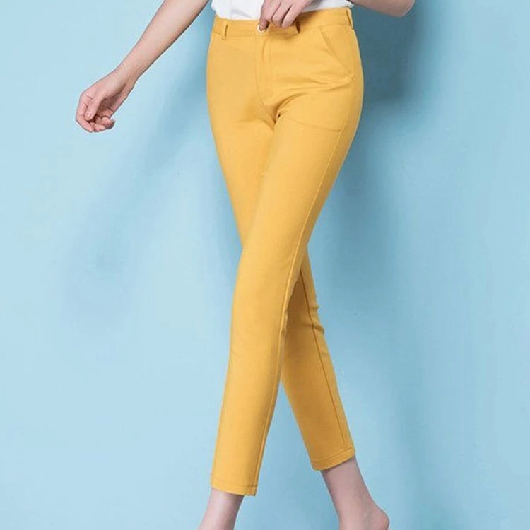 Pencil Pants